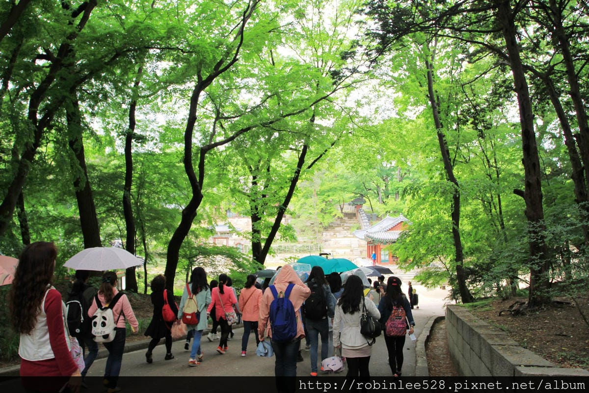 昌德宮/秘苑 -首爾五大宮廟第一必遊首選! - 第14張圖 昌德宮/秘苑 -首爾五大宮廟第一必遊首選!