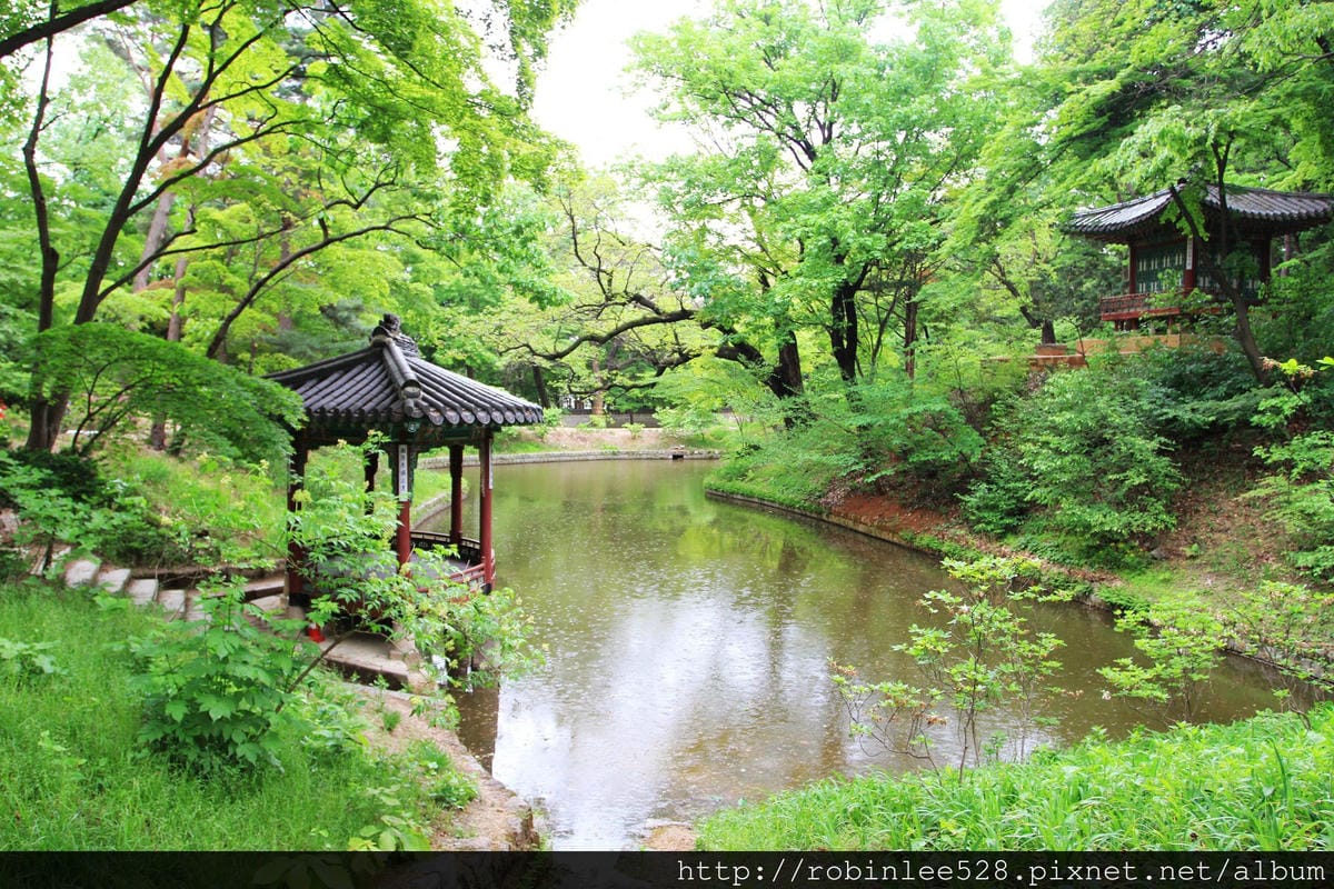 昌德宮/秘苑 -首爾五大宮廟第一必遊首選! - 第19張圖 昌德宮/秘苑 -首爾五大宮廟第一必遊首選!