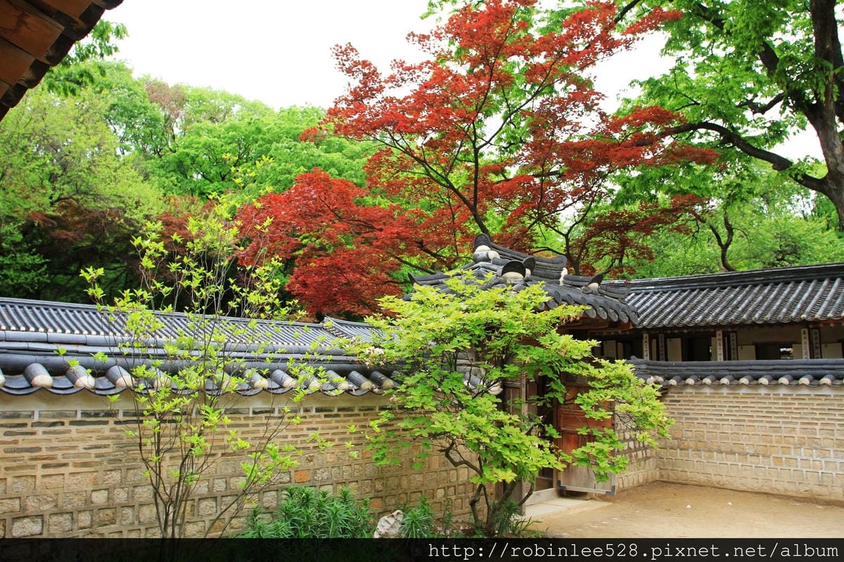 昌德宮/秘苑 -首爾五大宮廟第一必遊首選! - 第33張圖 昌德宮/秘苑 -首爾五大宮廟第一必遊首選!