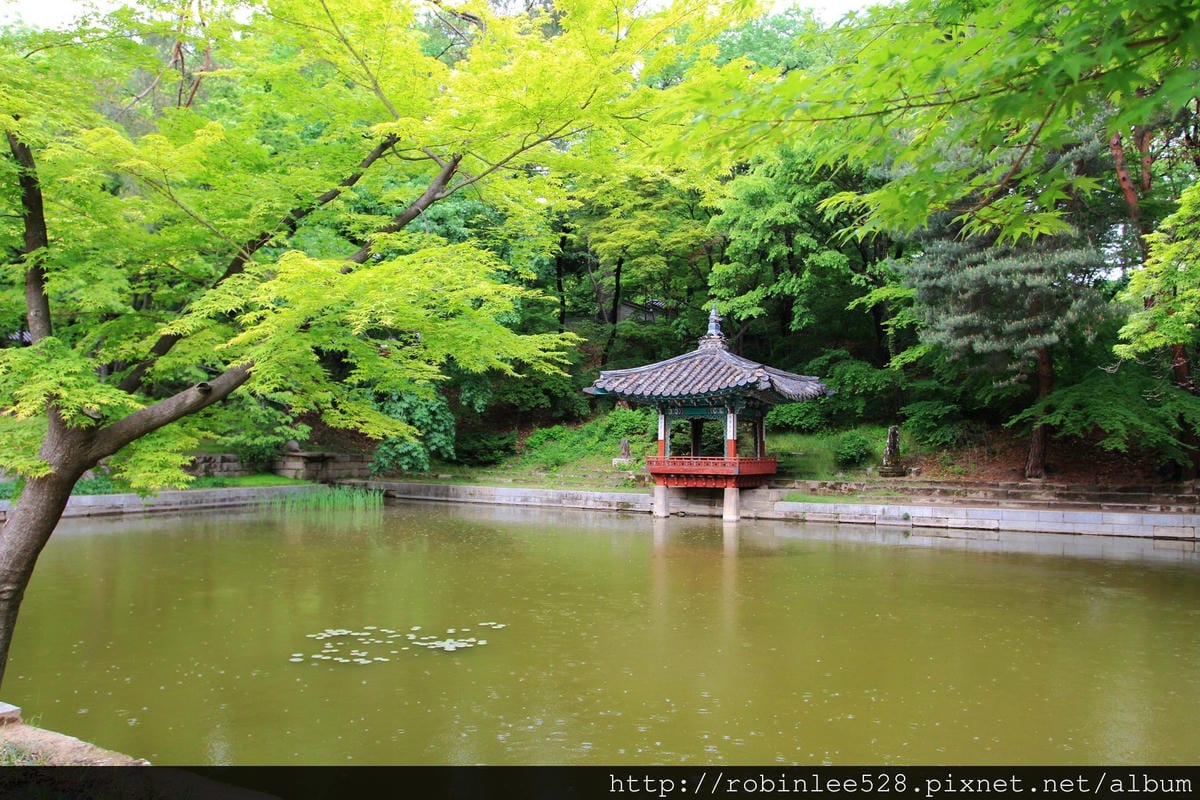 昌德宮/秘苑 -首爾五大宮廟第一必遊首選! - 第18張圖 昌德宮/秘苑 -首爾五大宮廟第一必遊首選!
