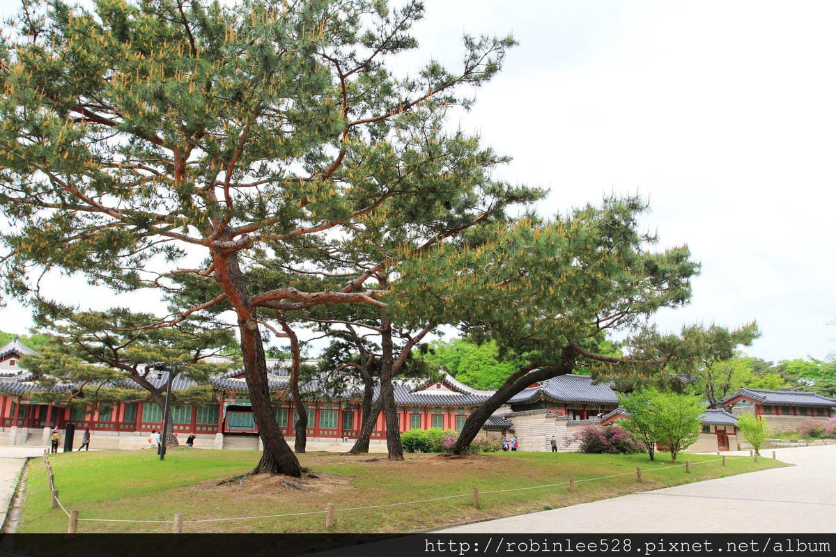 昌德宮/秘苑 -首爾五大宮廟第一必遊首選! - 第11張圖 昌德宮/秘苑 -首爾五大宮廟第一必遊首選!