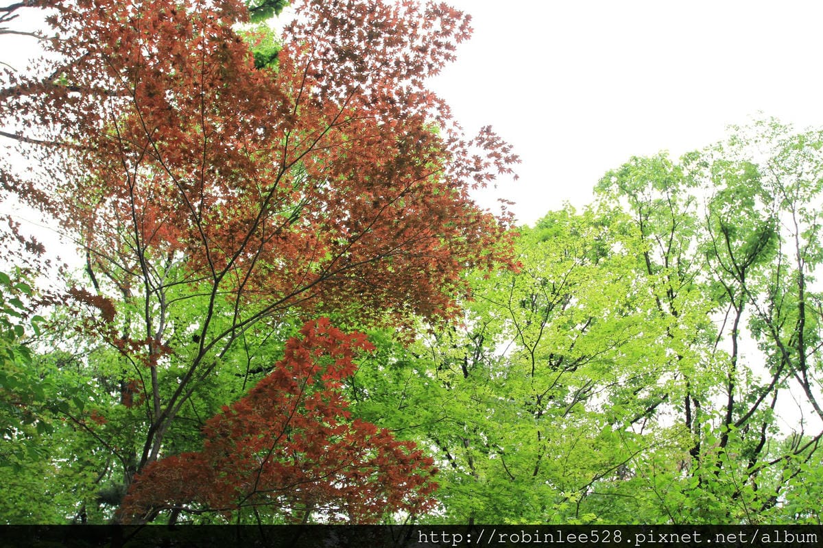 昌德宮/秘苑 -首爾五大宮廟第一必遊首選! - 第26張圖 昌德宮/秘苑 -首爾五大宮廟第一必遊首選!
