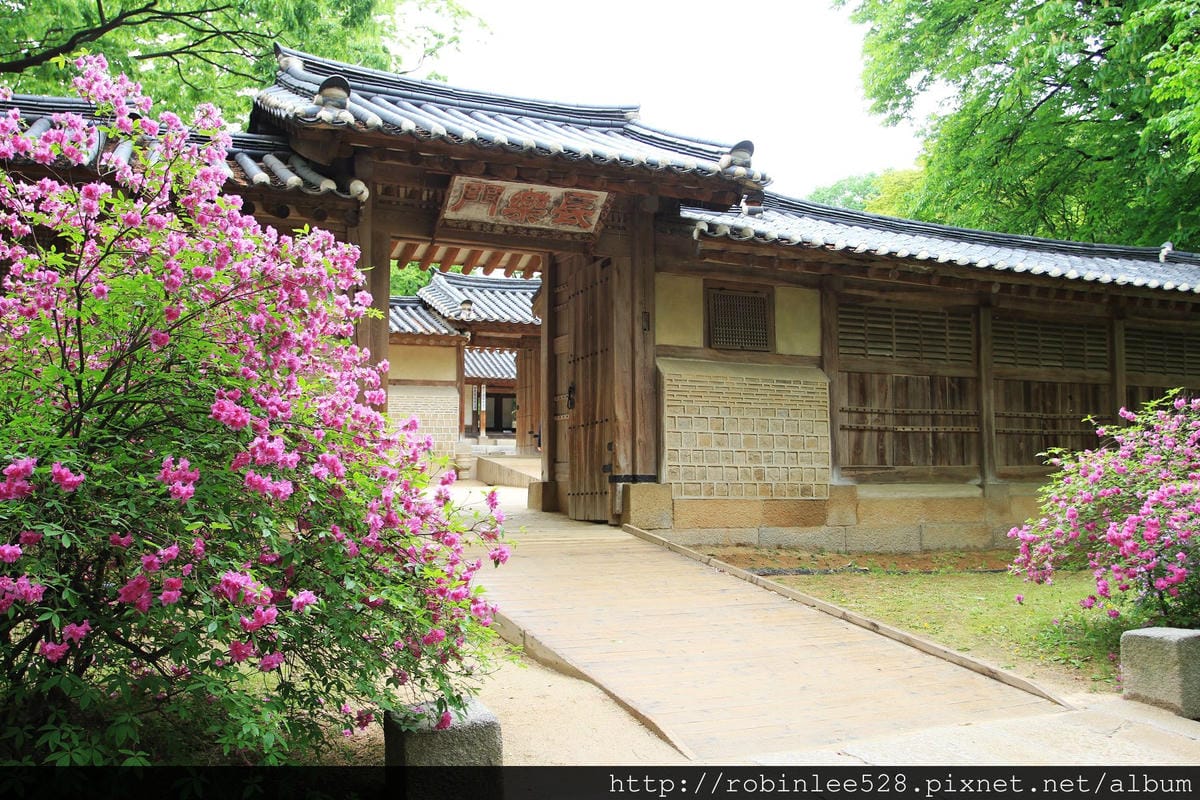 昌德宮/秘苑 -首爾五大宮廟第一必遊首選! - 第31張圖 昌德宮/秘苑 -首爾五大宮廟第一必遊首選!