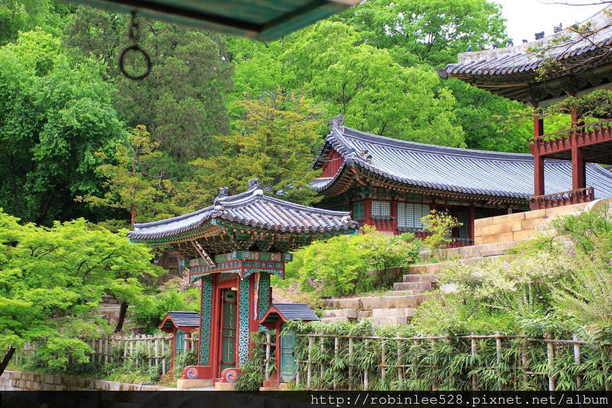 昌德宮/秘苑 -首爾五大宮廟第一必遊首選! - 第16張圖 昌德宮/秘苑 -首爾五大宮廟第一必遊首選!