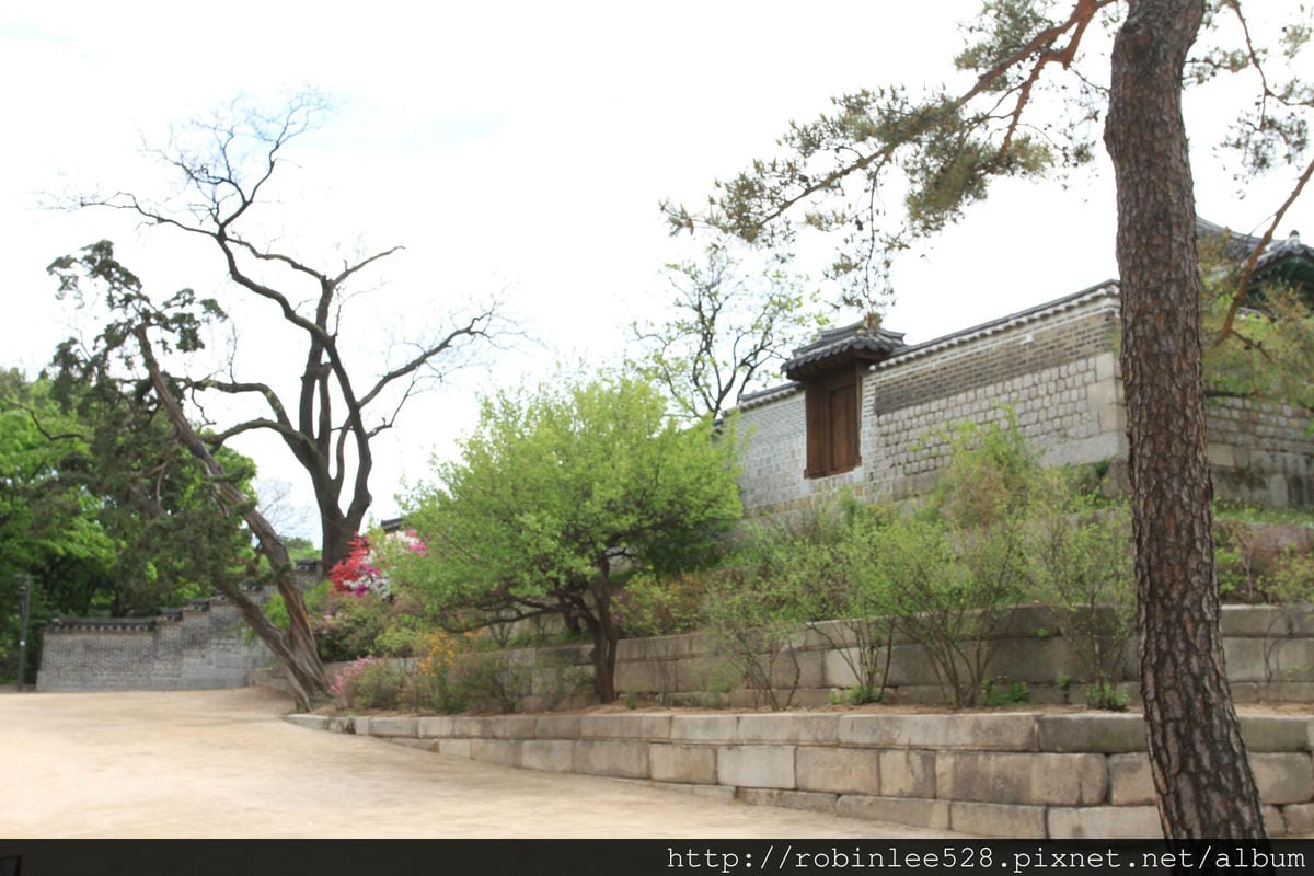 昌德宮/秘苑 -首爾五大宮廟第一必遊首選! - 第43張圖 昌德宮/秘苑 -首爾五大宮廟第一必遊首選!