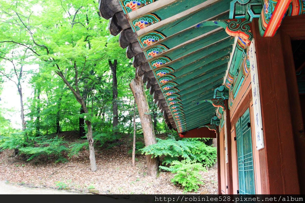 昌德宮/秘苑 -首爾五大宮廟第一必遊首選! - 第22張圖 昌德宮/秘苑 -首爾五大宮廟第一必遊首選!