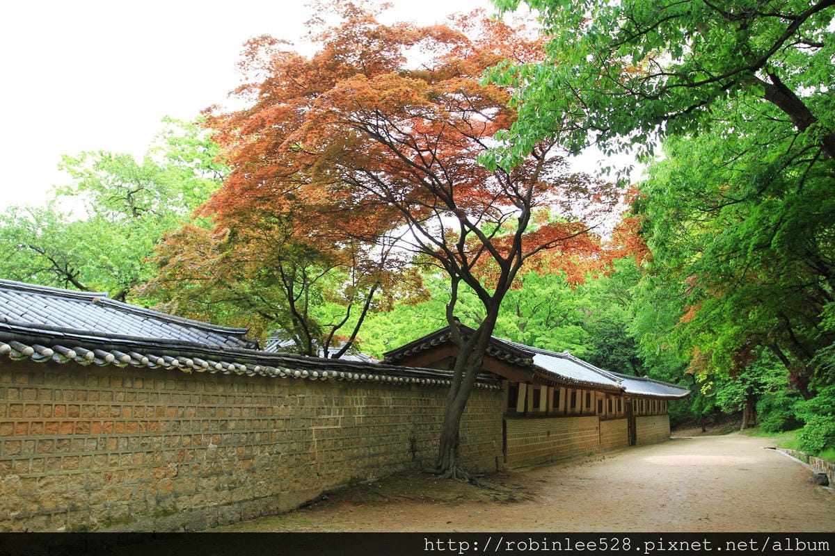 昌德宮/秘苑 -首爾五大宮廟第一必遊首選! - 第27張圖 昌德宮/秘苑 -首爾五大宮廟第一必遊首選!