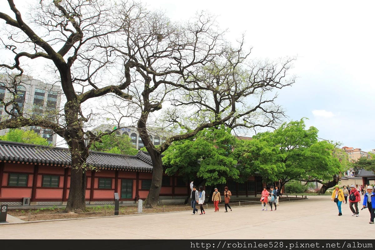昌德宮/秘苑 -首爾五大宮廟第一必遊首選! - 第7張圖 昌德宮/秘苑 -首爾五大宮廟第一必遊首選!