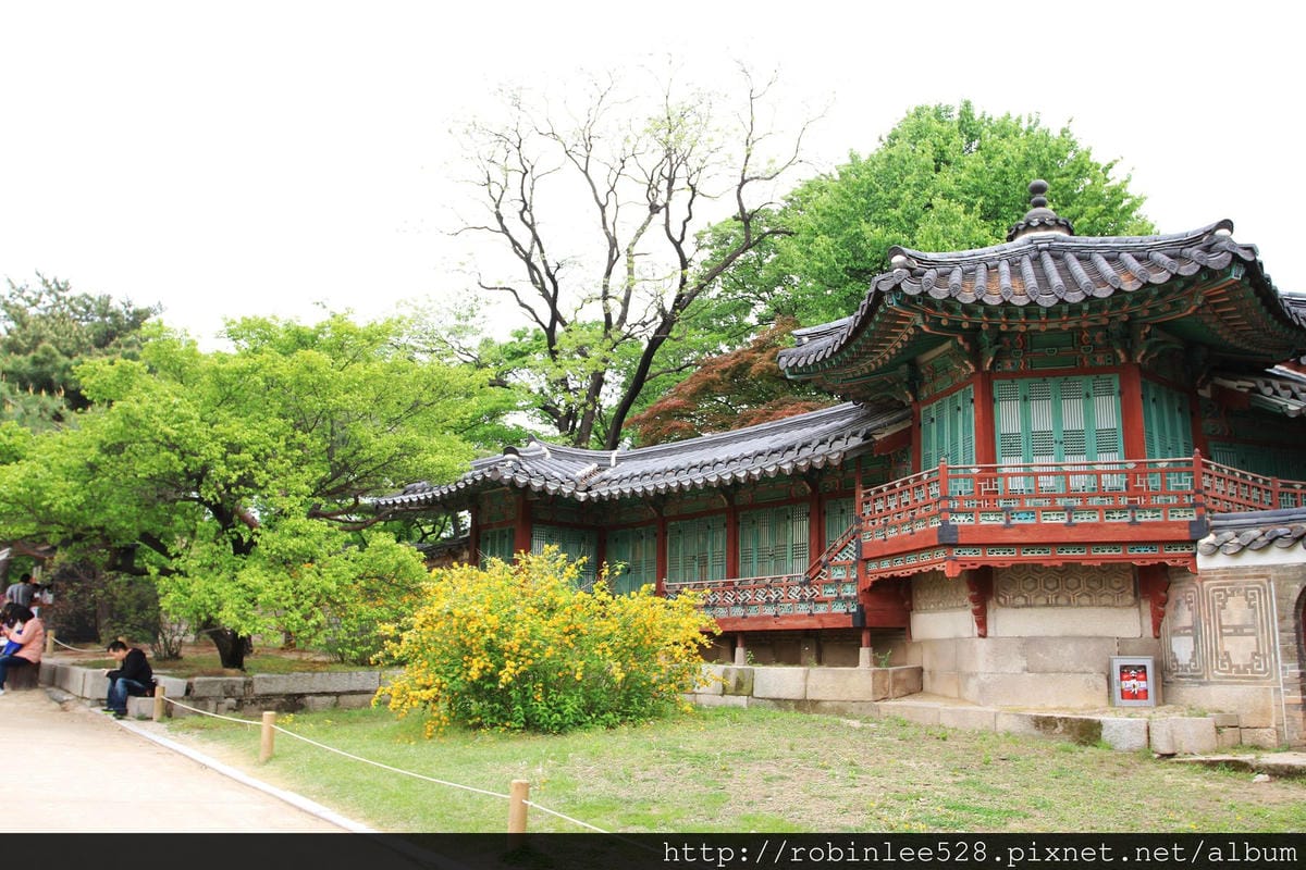 昌德宮/秘苑 -首爾五大宮廟第一必遊首選! - 第13張圖 昌德宮/秘苑 -首爾五大宮廟第一必遊首選!