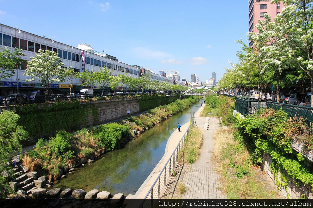 首爾 孔陵一隻雞(東大門) -好人情與真功夫的料理