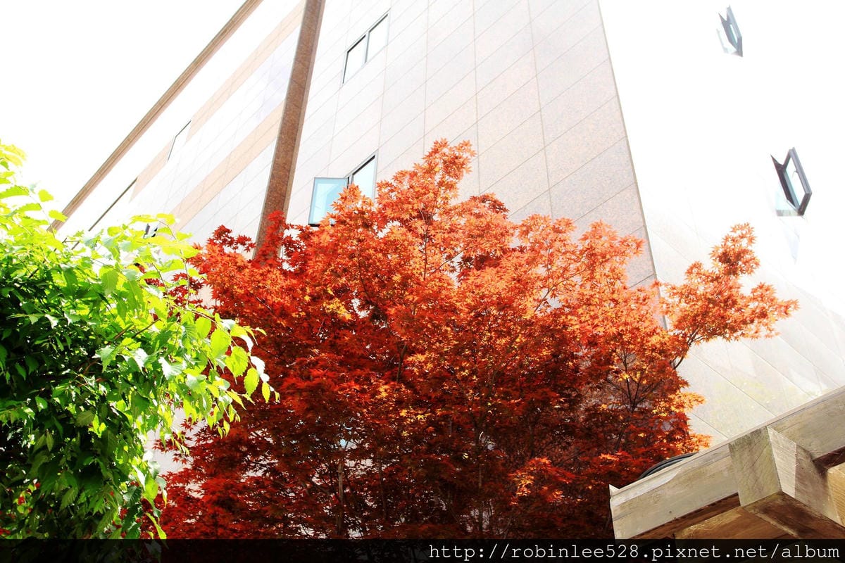 首爾 北村韓屋聚落 -尋找傳說中的北村八景! - 第8張圖 首爾 北村韓屋聚落 -尋找傳說中的北村八景!