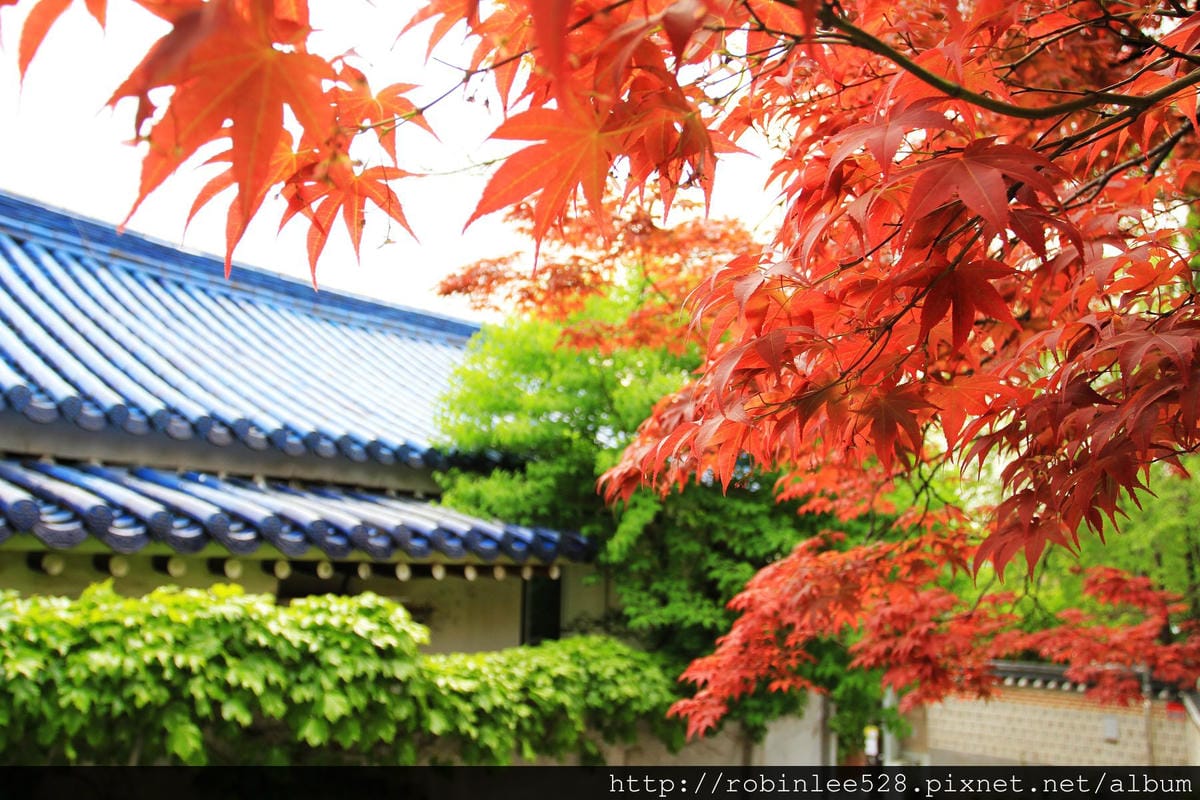 首爾 北村韓屋聚落 -尋找傳說中的北村八景! - 第25張圖 首爾 北村韓屋聚落 -尋找傳說中的北村八景!