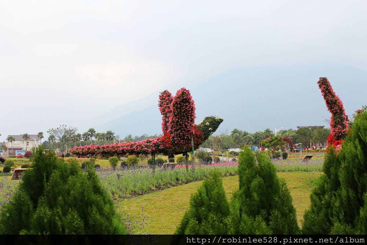 2015曙光一日遊台東 / AE394 台東-台北 飛行記錄 - 第31張圖 2015曙光一日遊台東 / AE394 台東-台北 飛行記錄