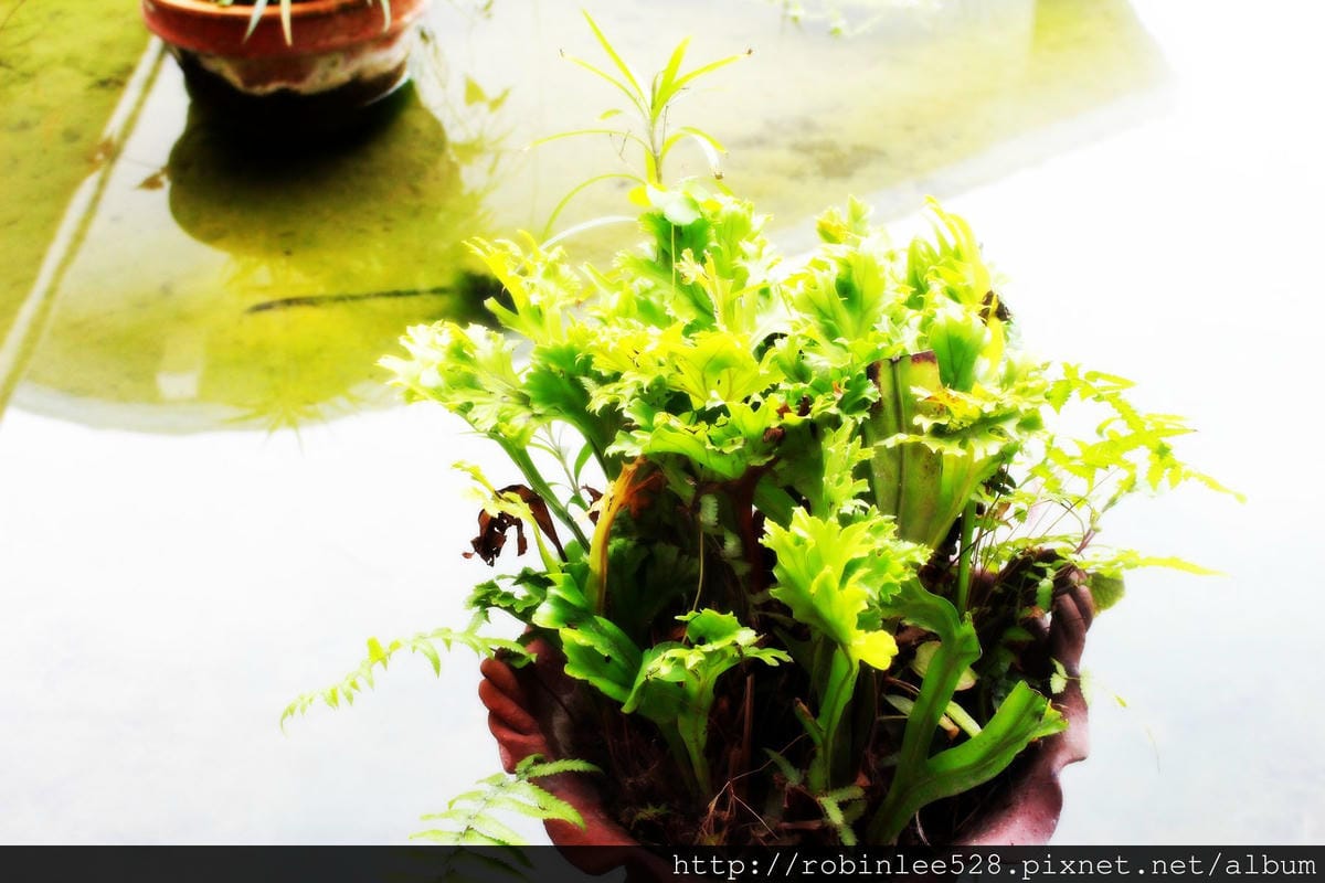 2015曙光一日遊台東 / AE394 台東-台北 飛行記錄 - 第5張圖 2015曙光一日遊台東 / AE394 台東-台北 飛行記錄