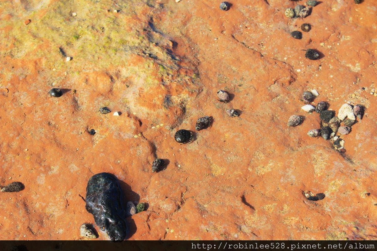 澎湖 奎壁山/赤嶼 現代摩西分紅海! - 第11張圖 澎湖 奎壁山/赤嶼 現代摩西分紅海!