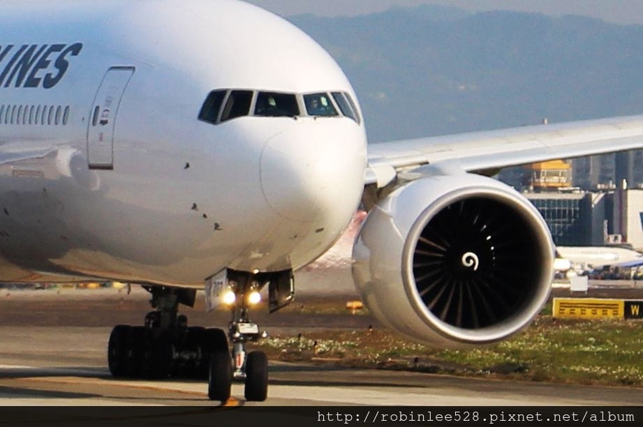 2015.2.16 松山機場拍飛機,新生公園賞玫瑰! - 第9張圖 2015.2.16 松山機場拍飛機,新生公園賞玫瑰!