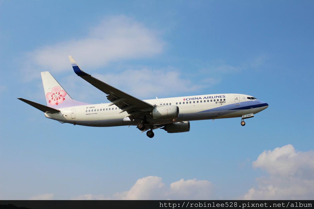 2015.2.16 松山機場拍飛機,新生公園賞玫瑰! - 第6張圖 2015.2.16 松山機場拍飛機,新生公園賞玫瑰!