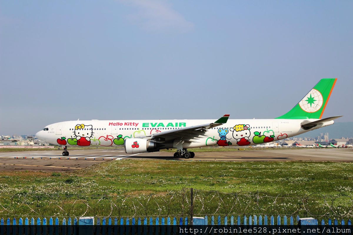 2015.2.16 松山機場拍飛機,新生公園賞玫瑰! - 第2張圖 2015.2.16 松山機場拍飛機,新生公園賞玫瑰!