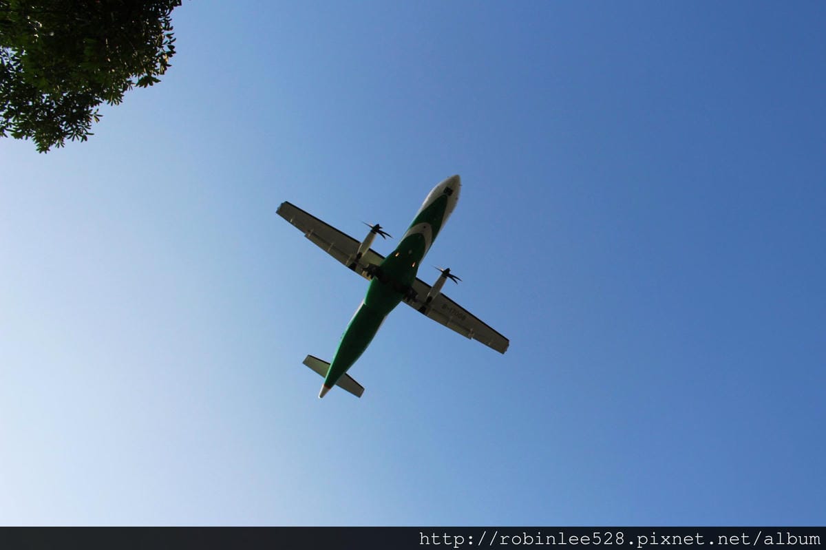 2015.2.16 松山機場拍飛機,新生公園賞玫瑰! - 第24張圖 2015.2.16 松山機場拍飛機,新生公園賞玫瑰!