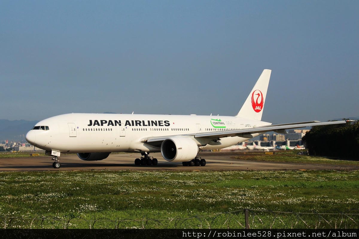 2015.2.16 松山機場拍飛機,新生公園賞玫瑰! - 第11張圖 2015.2.16 松山機場拍飛機,新生公園賞玫瑰!