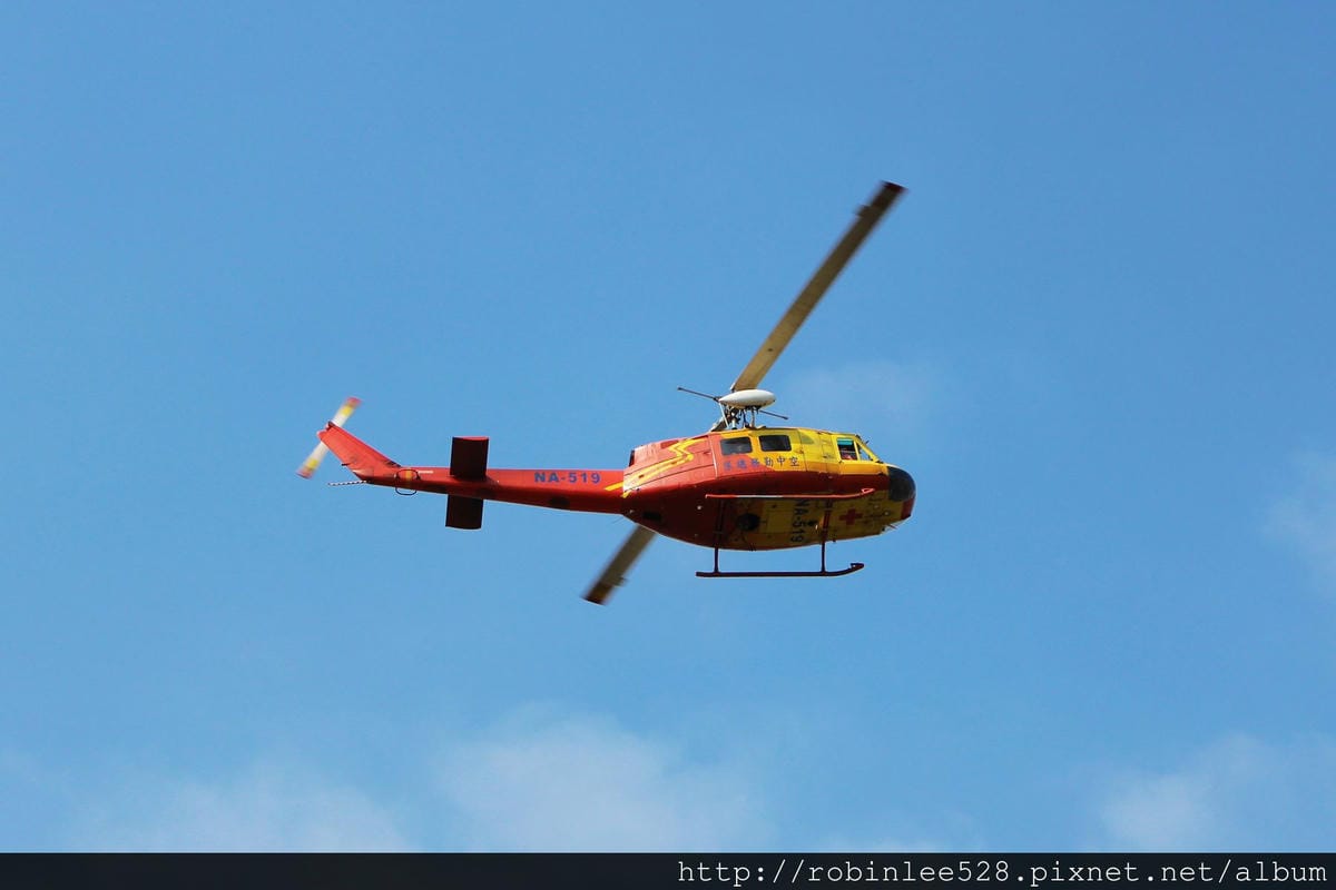 2015.2.16 松山機場拍飛機,新生公園賞玫瑰! - 第4張圖 2015.2.16 松山機場拍飛機,新生公園賞玫瑰!