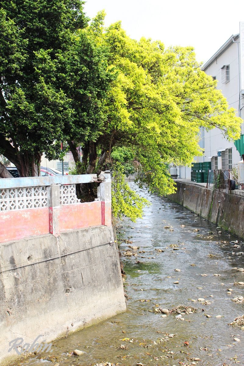 台中大雅 廣告、電影才有的壯觀麥田海居然出現在台灣! - 第9張圖 台中大雅 廣告、電影才有的壯觀麥田海居然出現在台灣!