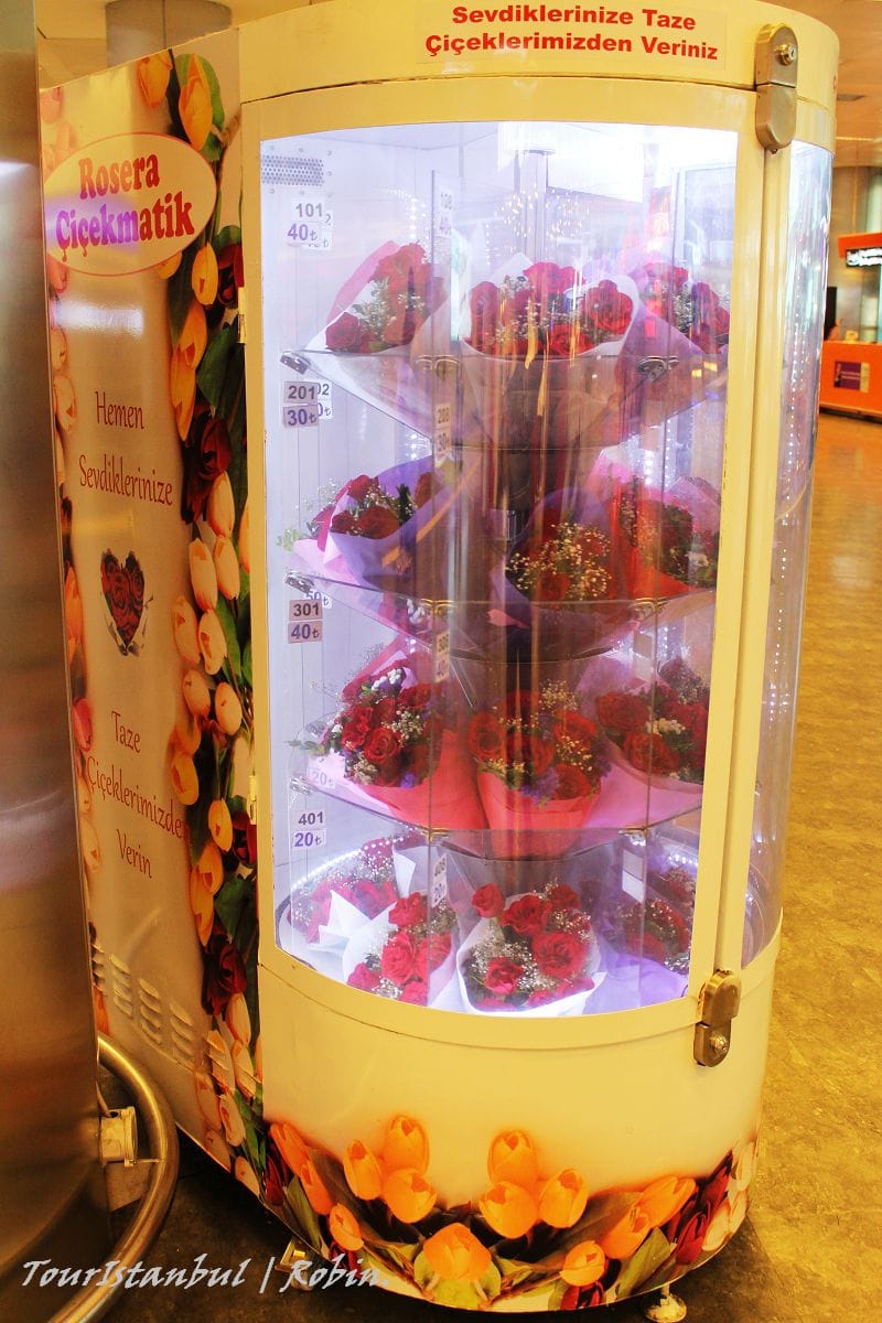 [遊記]土耳其航空 免費伊斯坦堡市區觀光半日遊