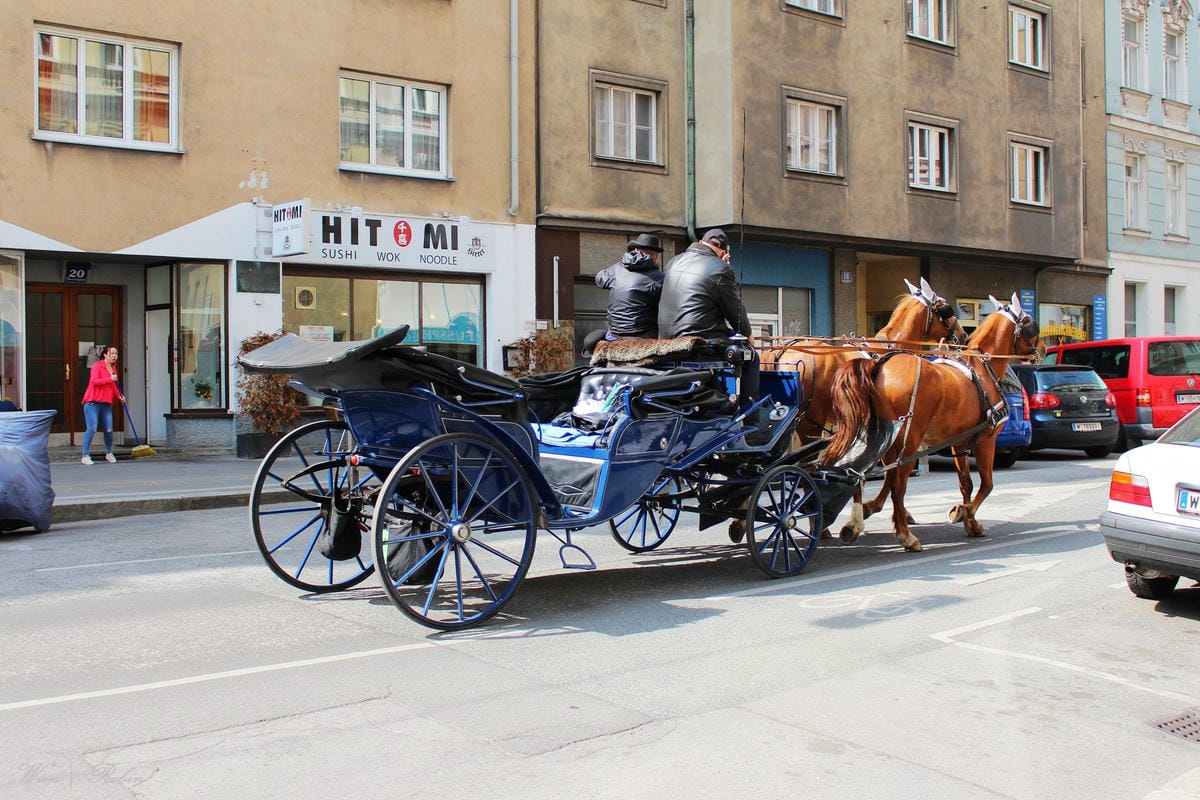 [奧地利] 維也納 百水公寓 Hunderwasserhaus -彩色童話公寓