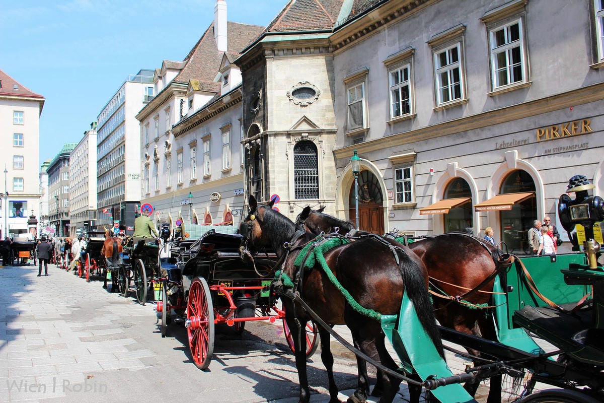 [奧地利] 維也納 聖史蒂芬教堂Stephansdom 市區最佳觀景點