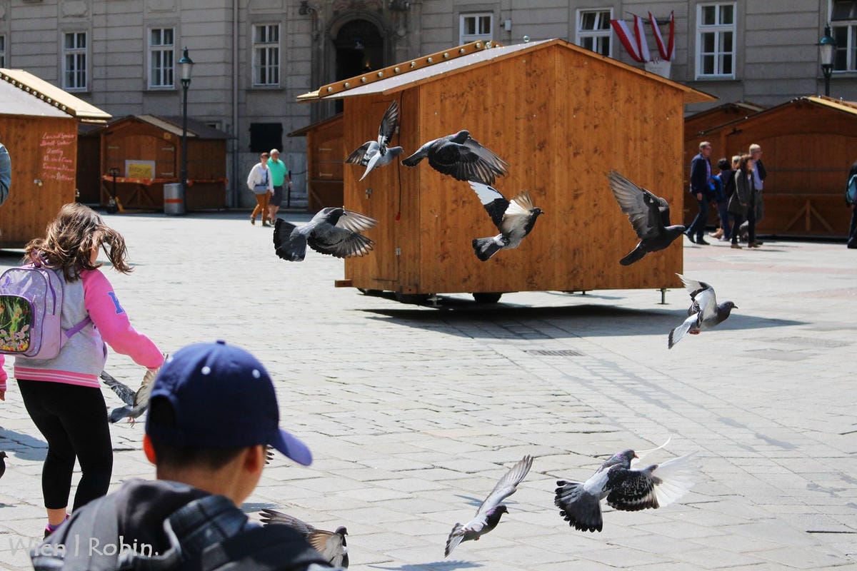 [奧地利] 維也納 聖史蒂芬教堂Stephansdom 市區最佳觀景點
