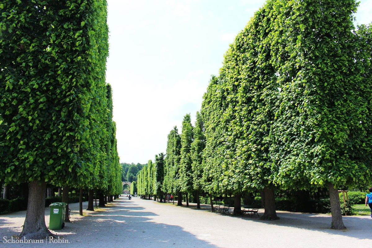 [奧地利] 維也納 美泉宮(熊布朗宮)Schönbrunn -遊園全記錄! 含地圖、門票資訊詳細介紹.