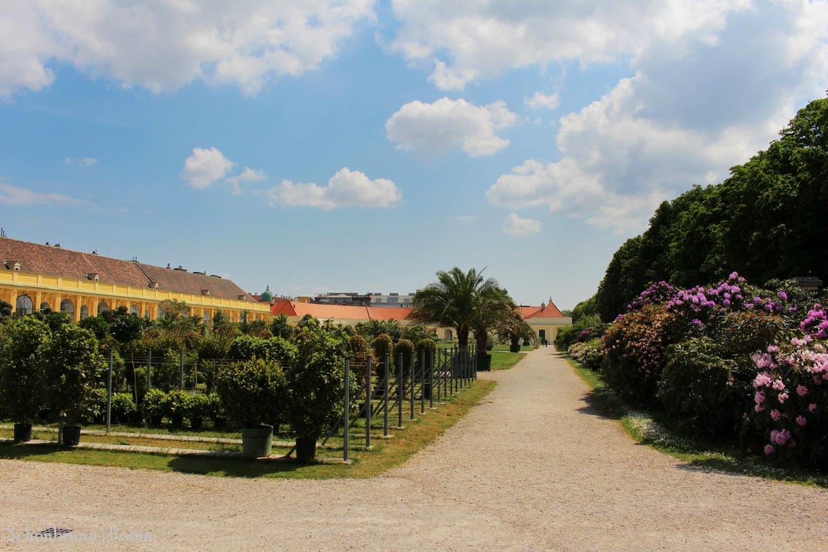[奧地利] 維也納 美泉宮(熊布朗宮)Schönbrunn -遊園全記錄! 含地圖、門票資訊詳細介紹.
