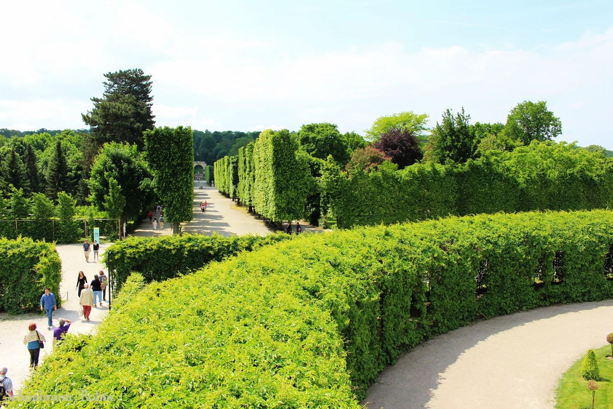 [奧地利] 維也納 美泉宮(熊布朗宮)Schönbrunn -遊園全記錄! 含地圖、門票資訊詳細介紹.