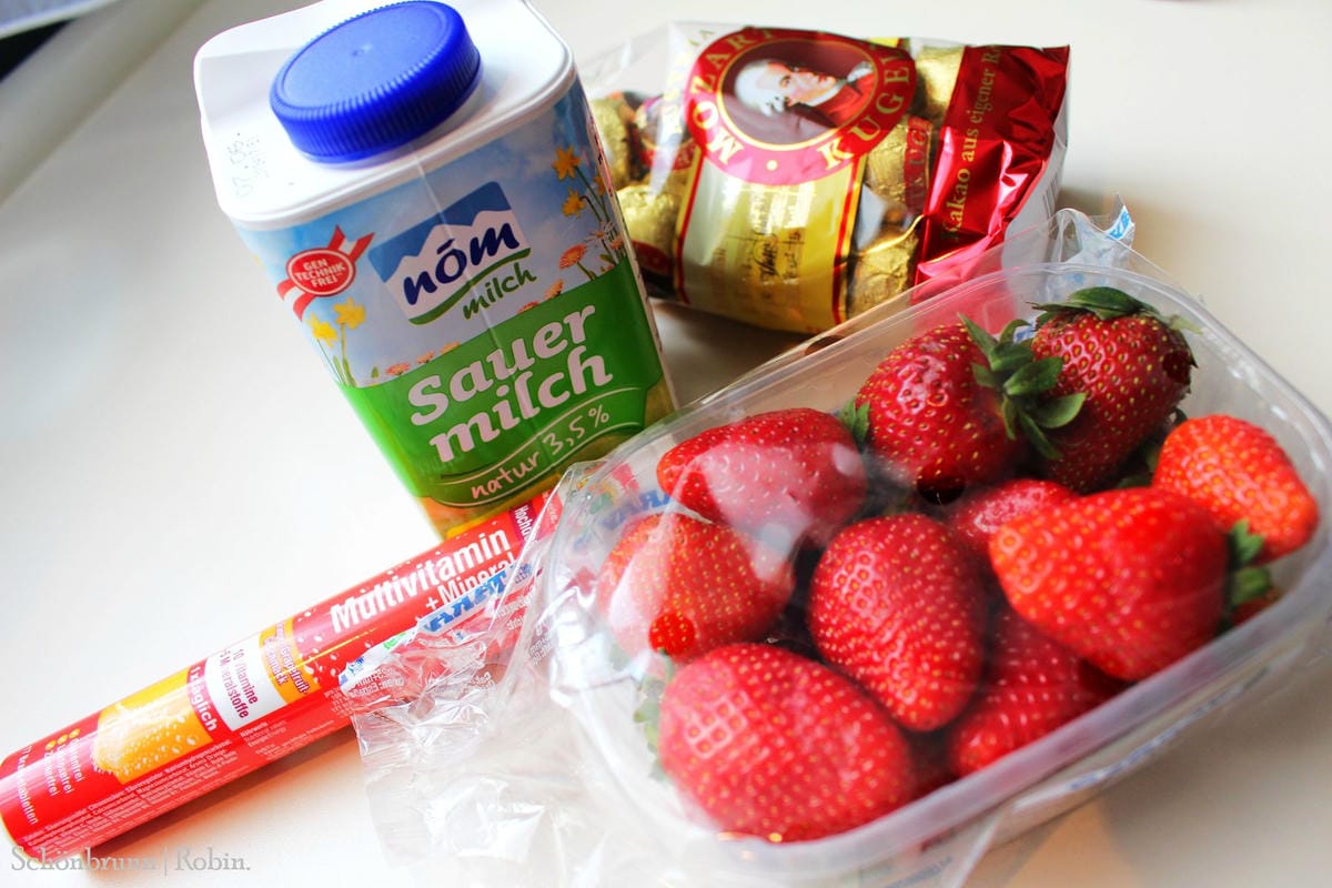 [奧地利] 維也納 美泉宮(熊布朗宮)Schönbrunn -遊園全記錄! 含地圖、門票資訊詳細介紹.