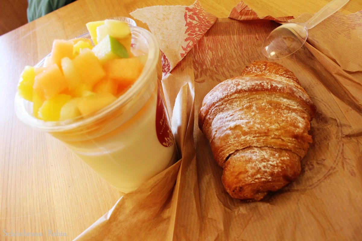 [奧地利] 維也納 美泉宮(熊布朗宮)Schönbrunn -遊園全記錄! 含地圖、門票資訊詳細介紹.