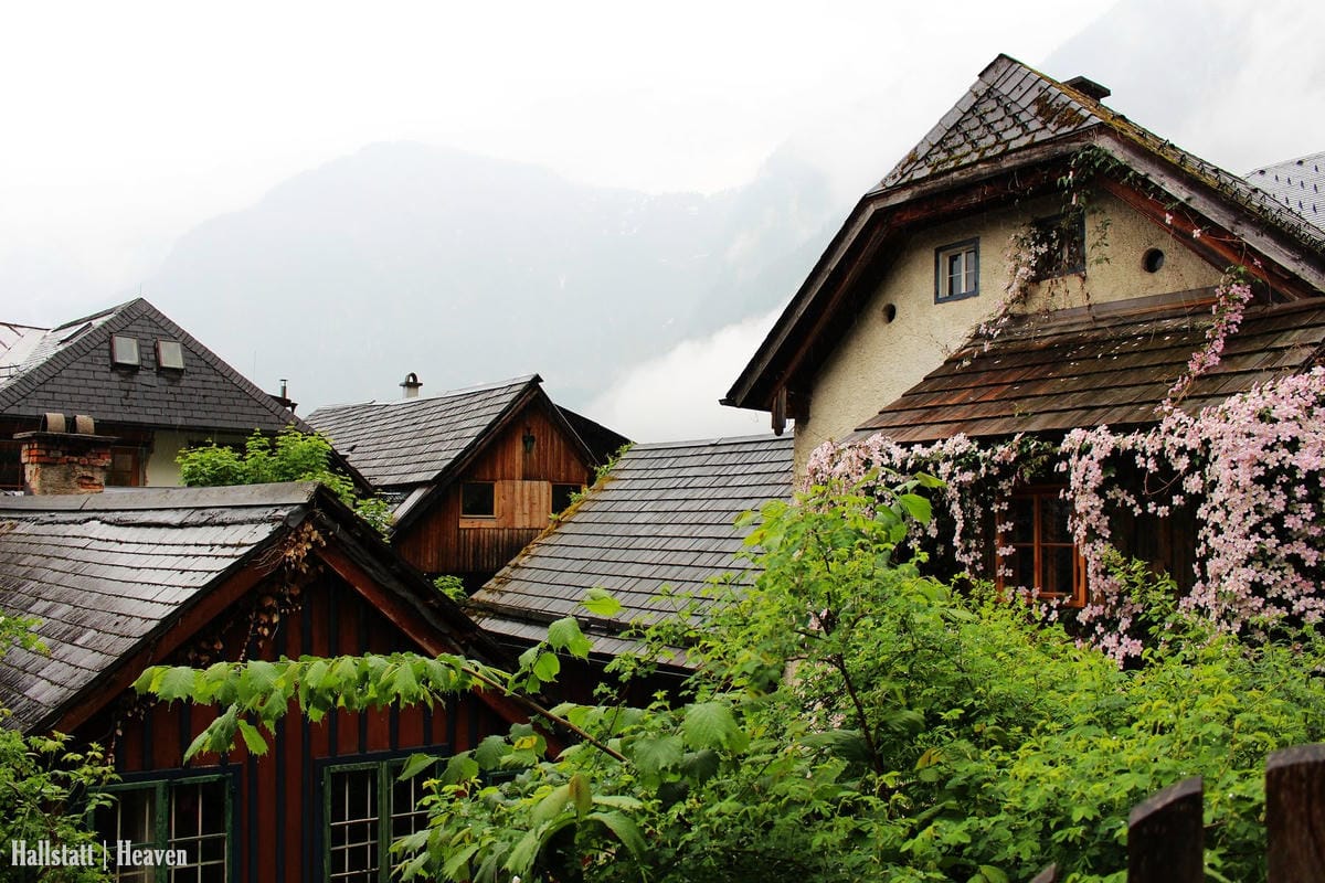 [奧地利] Hallstatt印象(上) -小鎮漫步、湖畔、教堂、骨頭屋、鱒魚料理
