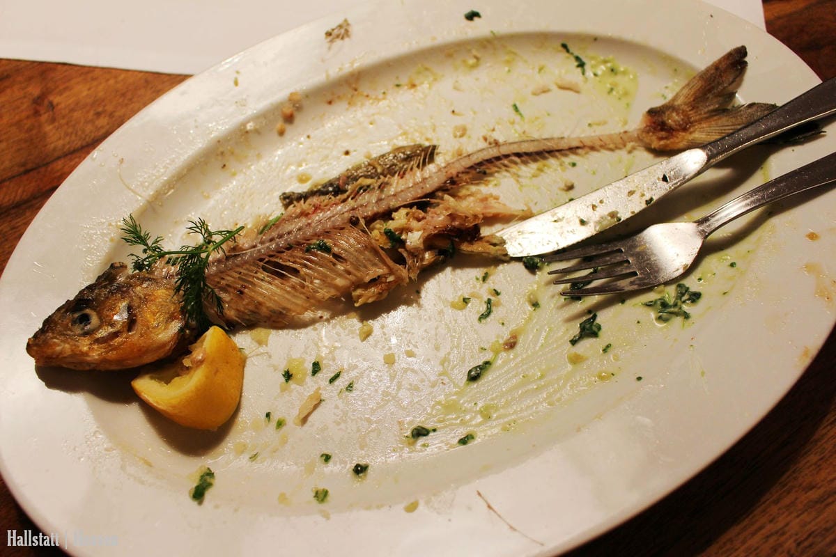 [奧地利] Hallstatt印象(上) -小鎮漫步、湖畔、教堂、骨頭屋、鱒魚料理