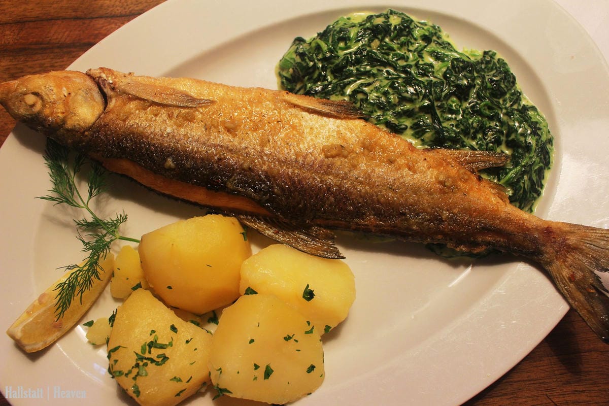 [奧地利] Hallstatt印象(上) -小鎮漫步、湖畔、教堂、骨頭屋、鱒魚料理