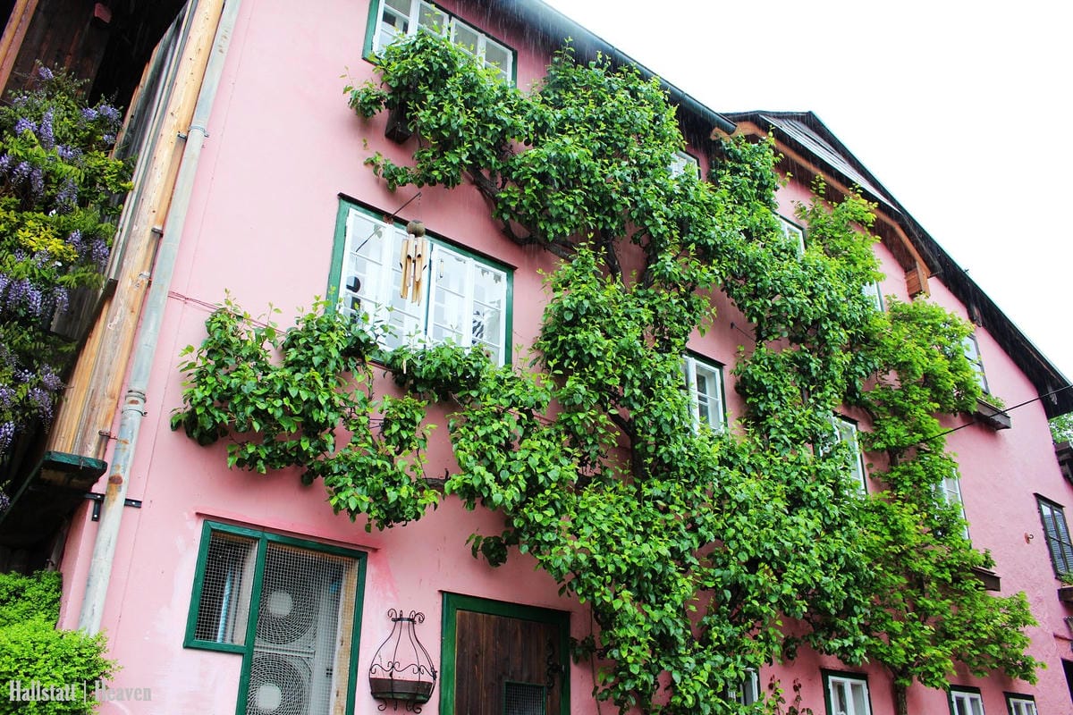 [奧地利] Hallstatt印象(上) -小鎮漫步、湖畔、教堂、骨頭屋、鱒魚料理