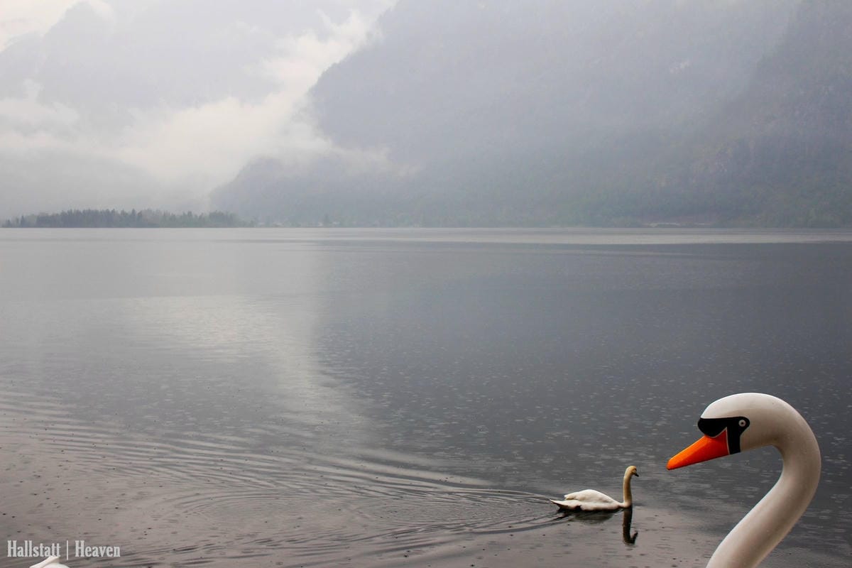 [奧地利] Hallstatt印象(上) -小鎮漫步、湖畔、教堂、骨頭屋、鱒魚料理
