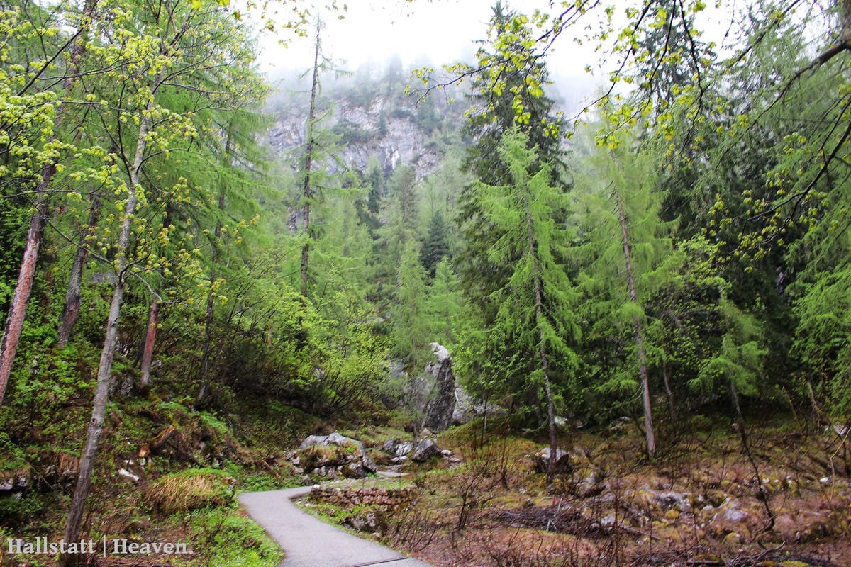 [奧地利] Hallstatt印象(下) -Dachstein山脈：奇幻冰洞大冒險!