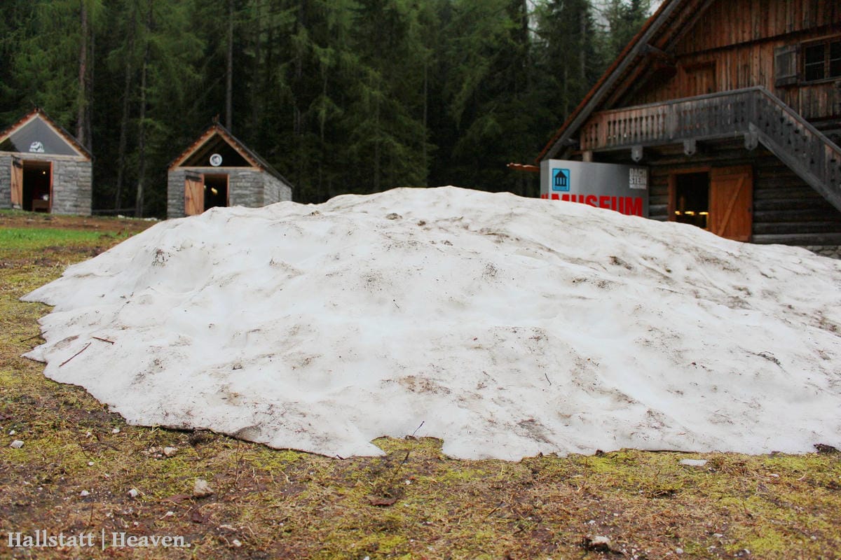 [奧地利] Hallstatt印象(下) -Dachstein山脈：奇幻冰洞大冒險!