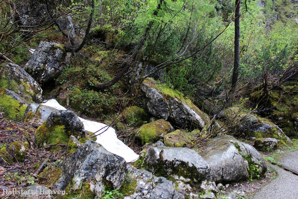 [奧地利] Hallstatt印象(下) -Dachstein山脈：奇幻冰洞大冒險!