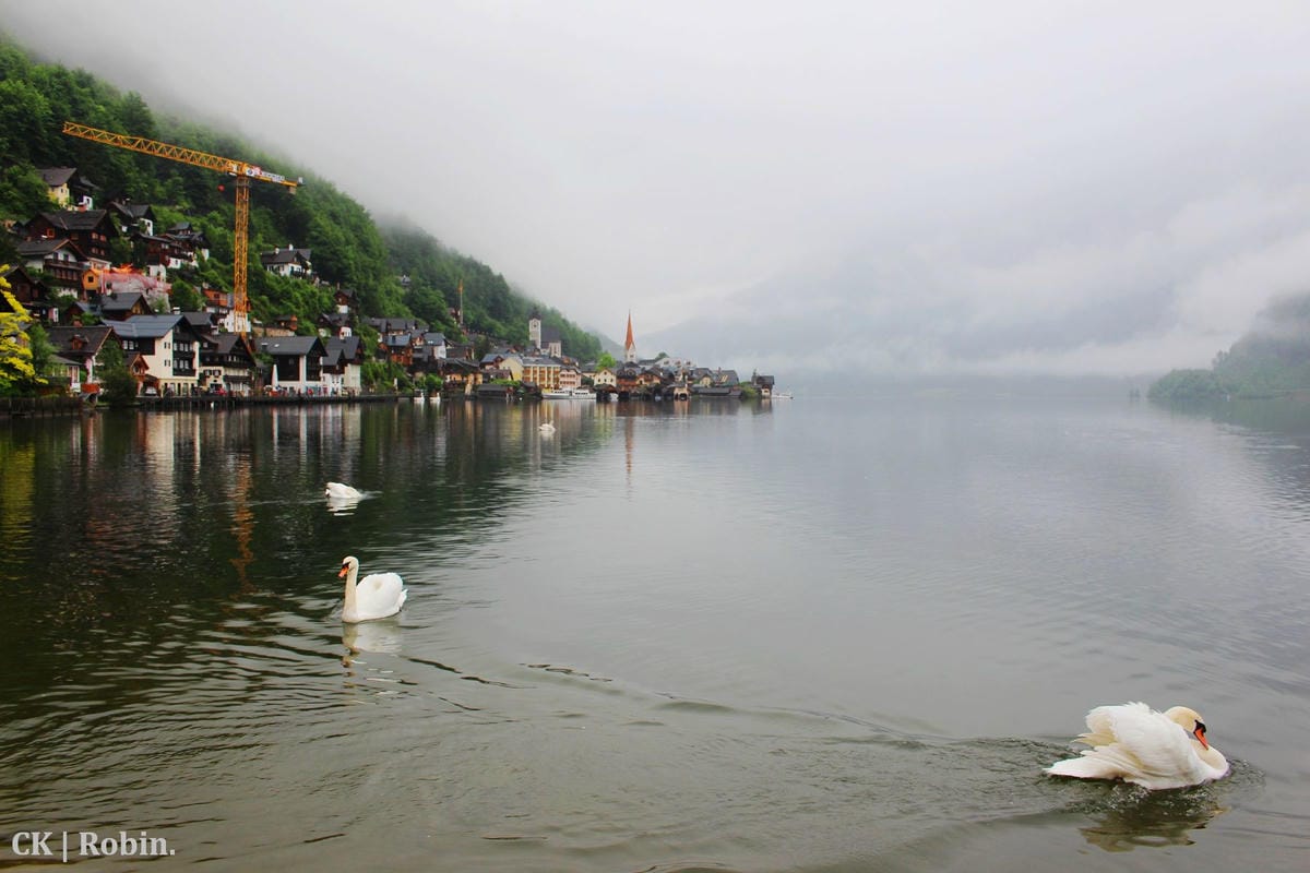 [捷克] Hallstatt→CK(庫倫洛夫)小鎮 直達shuttle搭乘心得 / CK小鎮民宿Zámecké schody (Castle Stairs)住宿心得