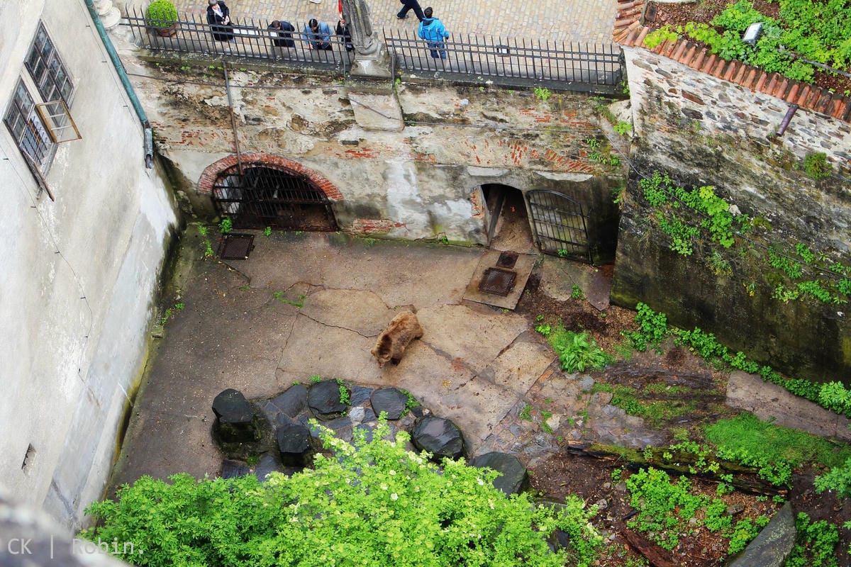 [捷克] Český Krumlov庫倫洛夫印象–聯合國文化遺產童話小鎮、城堡、城塔、花園