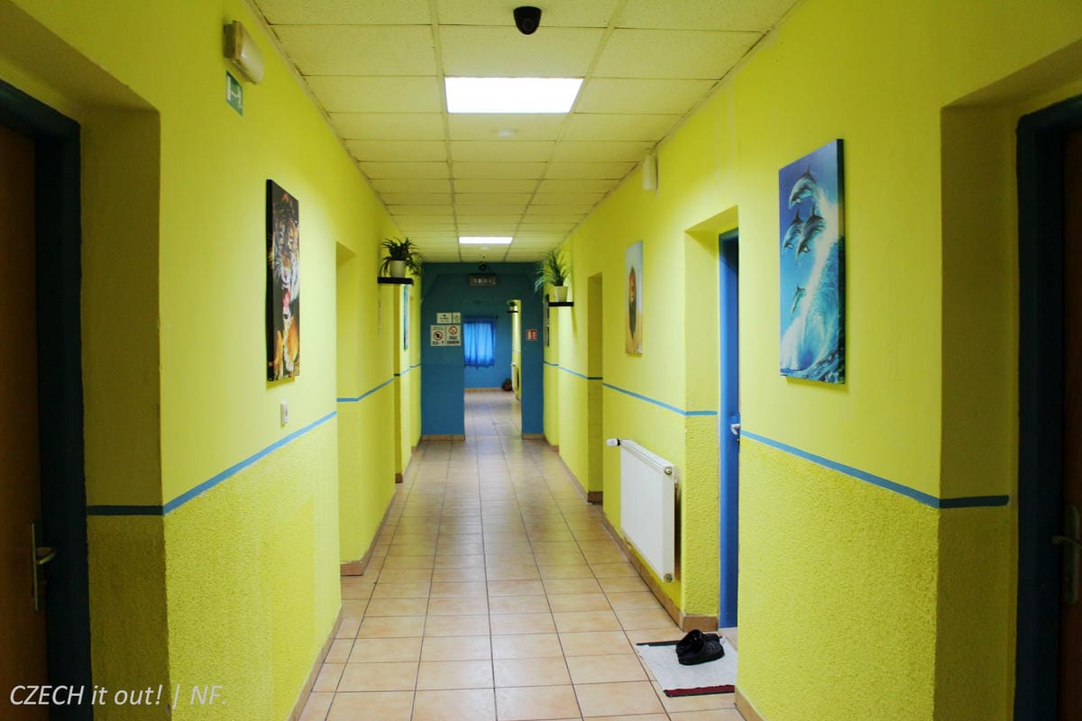 [捷克] 布拉格 HOSTEL KOTVA青年旅館 住宿心得 -機能佳，單人房400CZK起，國際學生證再打八折!