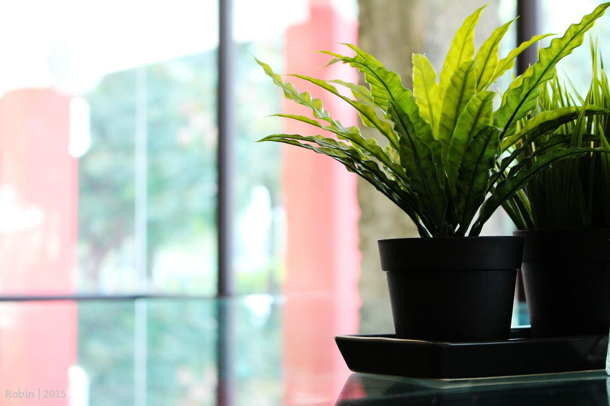 金門 823行館 住宿心得 – 金門唯一軍事風飯店，超帥軍械式風格房，軍事迷必住!