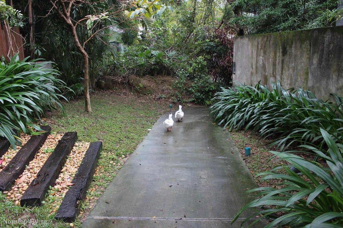 [新竹渡假] 6星集Villa Spa會館 -不用出國，感受峇里島度假風情! 獨棟Villa、芳療SPA、一泊二食住宿心得