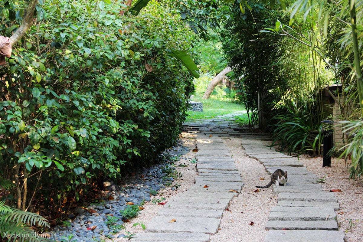 [新竹渡假] 6星集Villa Spa會館 -不用出國，感受峇里島度假風情! 獨棟Villa、芳療SPA、一泊二食住宿心得