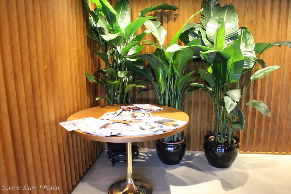 國泰航空 香港 玉衡堂頭等貴賓室-中西美食、足部按摩,五感豪華體驗國泰最新、最高等級旗艦貴賓室! - 第7張圖 國泰航空 香港 玉衡堂頭等貴賓室-中西美食、足部按摩,五感豪華體驗國泰最新、最高等級旗艦貴賓室!